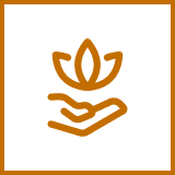 Hand holding a blooming flower icon.