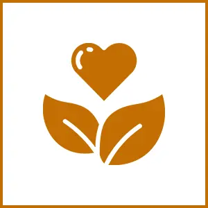Nutritional support for anxiety, depression, and ADHD