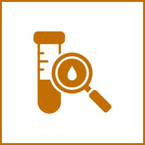 Hormonal and metabolic balance