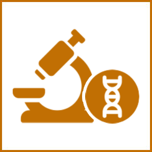 Microscope and DNA strand icon symbolizing genetic research.